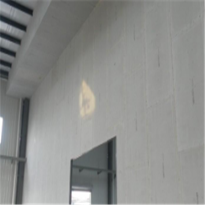 立山宁波ALC板|EPS加气板隔墙与混凝土整浇联接的实验研讨